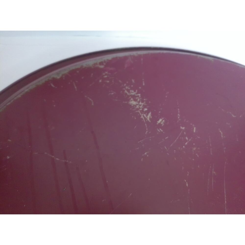 Vintage Toleware Floral Tray Cottagecore Decor Shabby Chic Large Metal Tray - Picture 6 of 9